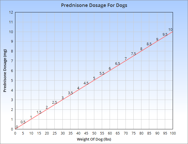 prednisone-dosage-for-dogs.png